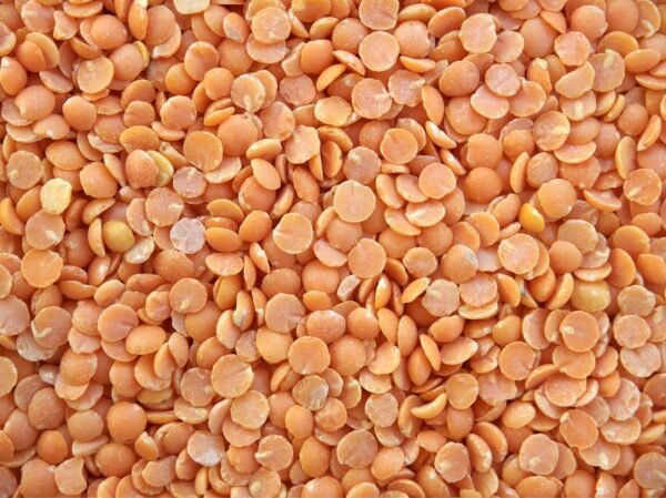 Red Lentil