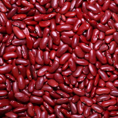 Canadian Red Beans