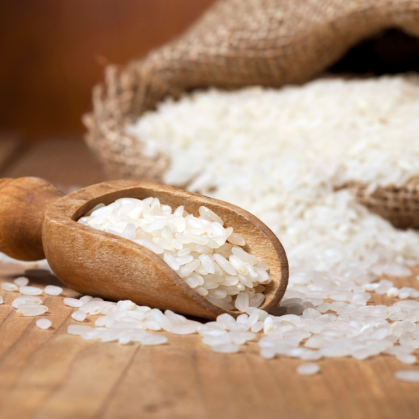 Riz domestique de Caroline