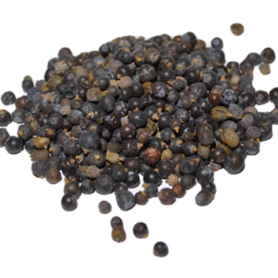 Coucou des cèdres | Épicerie Pic de cèdre