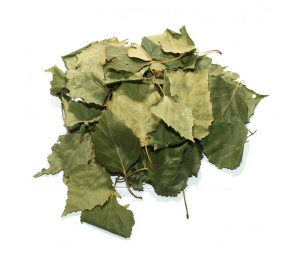 birch leaves