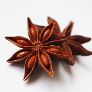 Asteroid Anise fruit