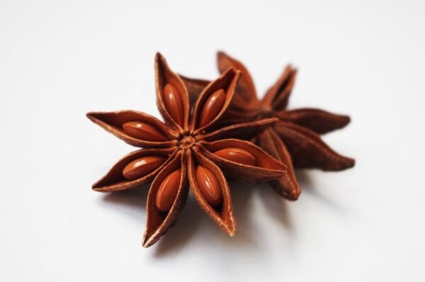 Asteroid Anise fruit