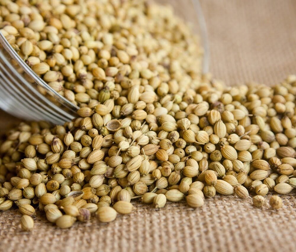 Korianderzaad | Kruidenierswinkel Hele koriander