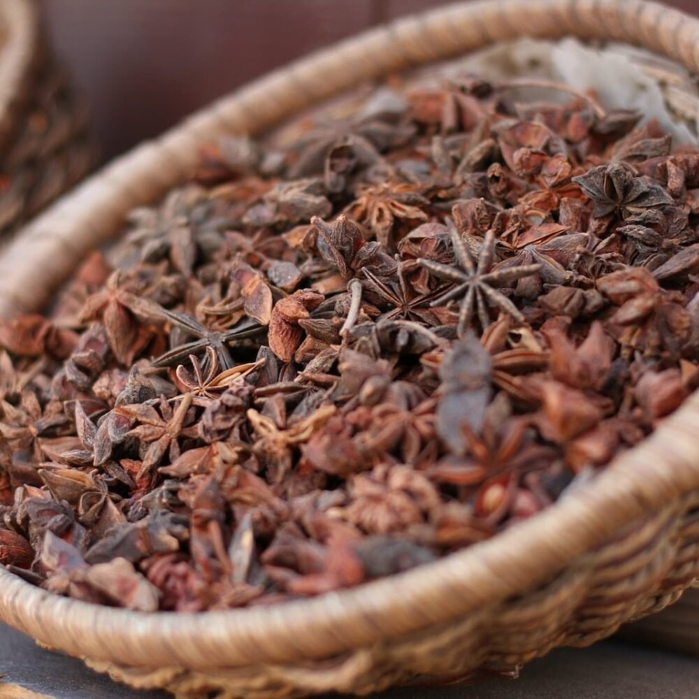 Star anise fruit | Bakalokarpos Grocery Store Pimpinella anisum