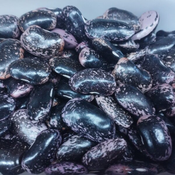 Gekleurde reuzen van Prespa