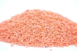 Red Lentil