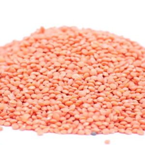 Red Lentil