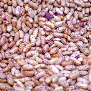 Macro shot of uncooked pinto beans showing their vibrant patterns and colors.