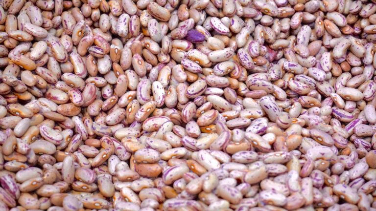 Macro shot of uncooked pinto beans showing their vibrant patterns and colors.