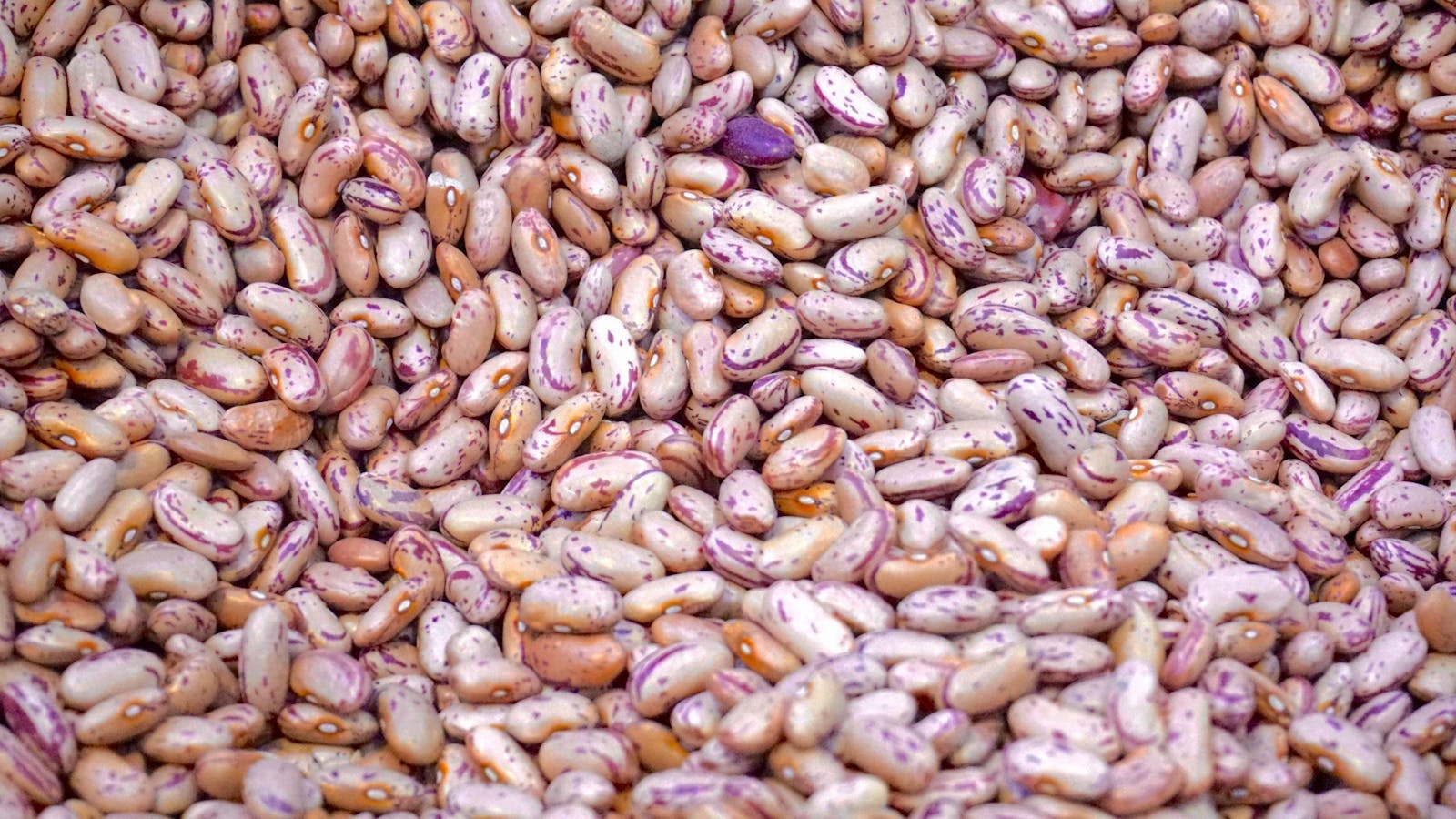 Red Kidney Beans: Nutritional Value, Benefits and Consumption