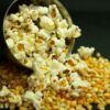 Καλαμπόκι για popcorn