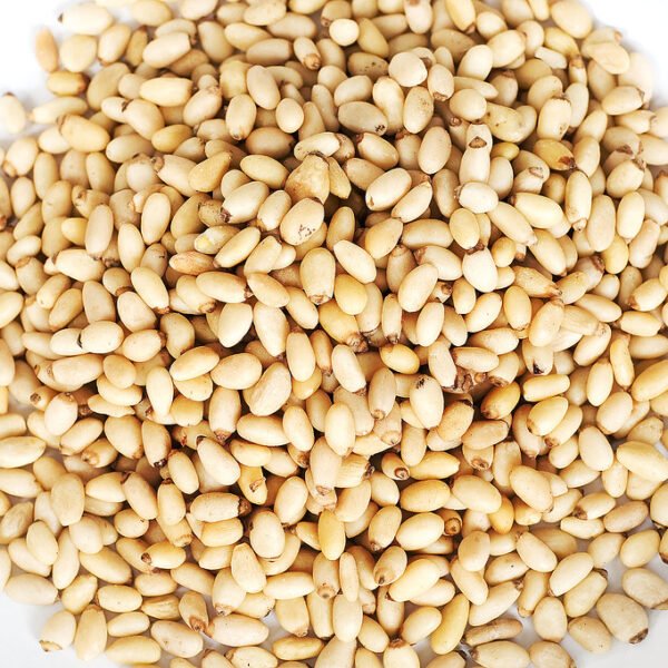 pinoli | Negozio di alimentari Cono