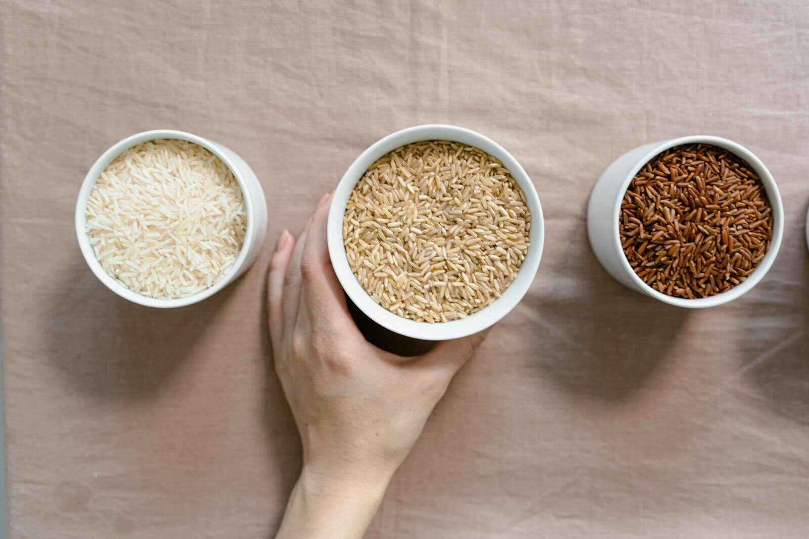 Rice: types, uses, recipes & which one to choose for each meal