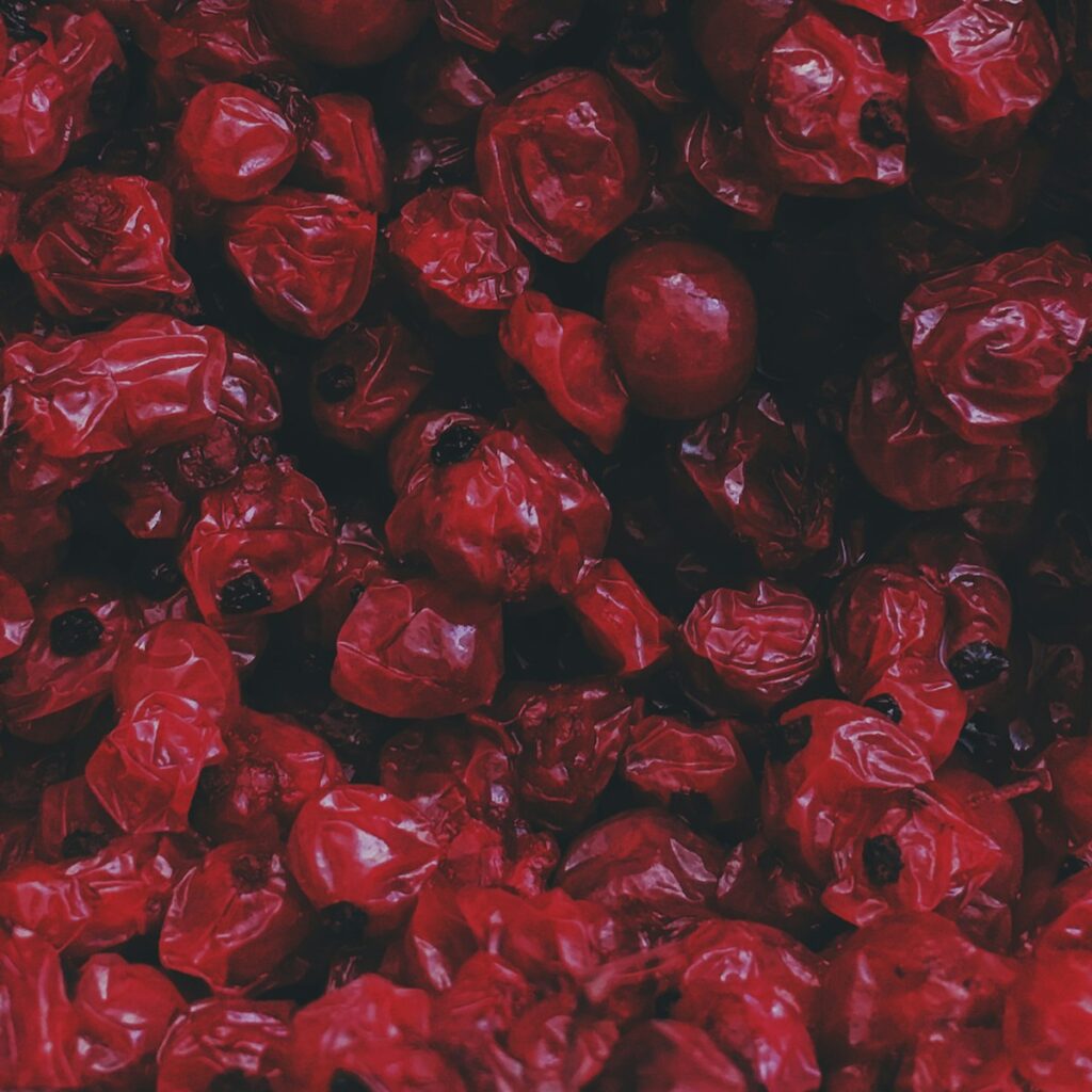 Mirtillo rosso selvatico osmotico biologico