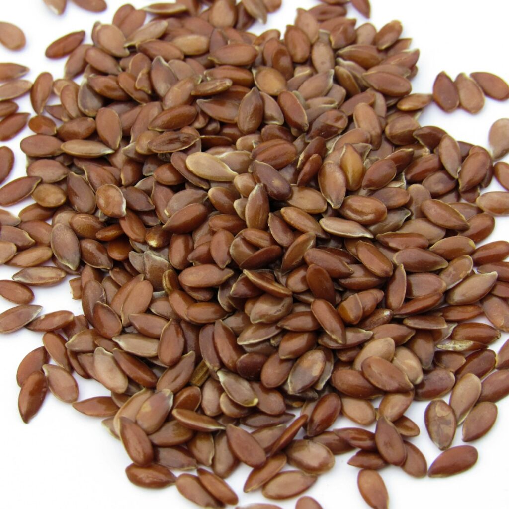 Semi di lino marroni