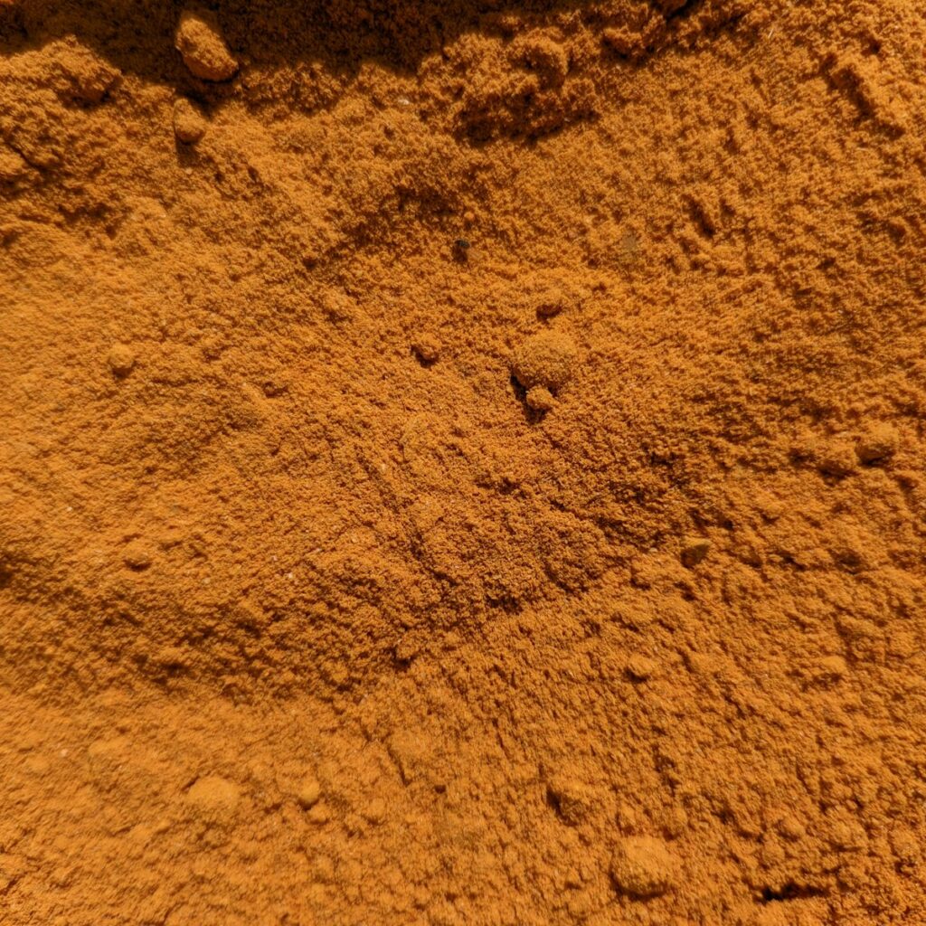 Curcuma in polvere